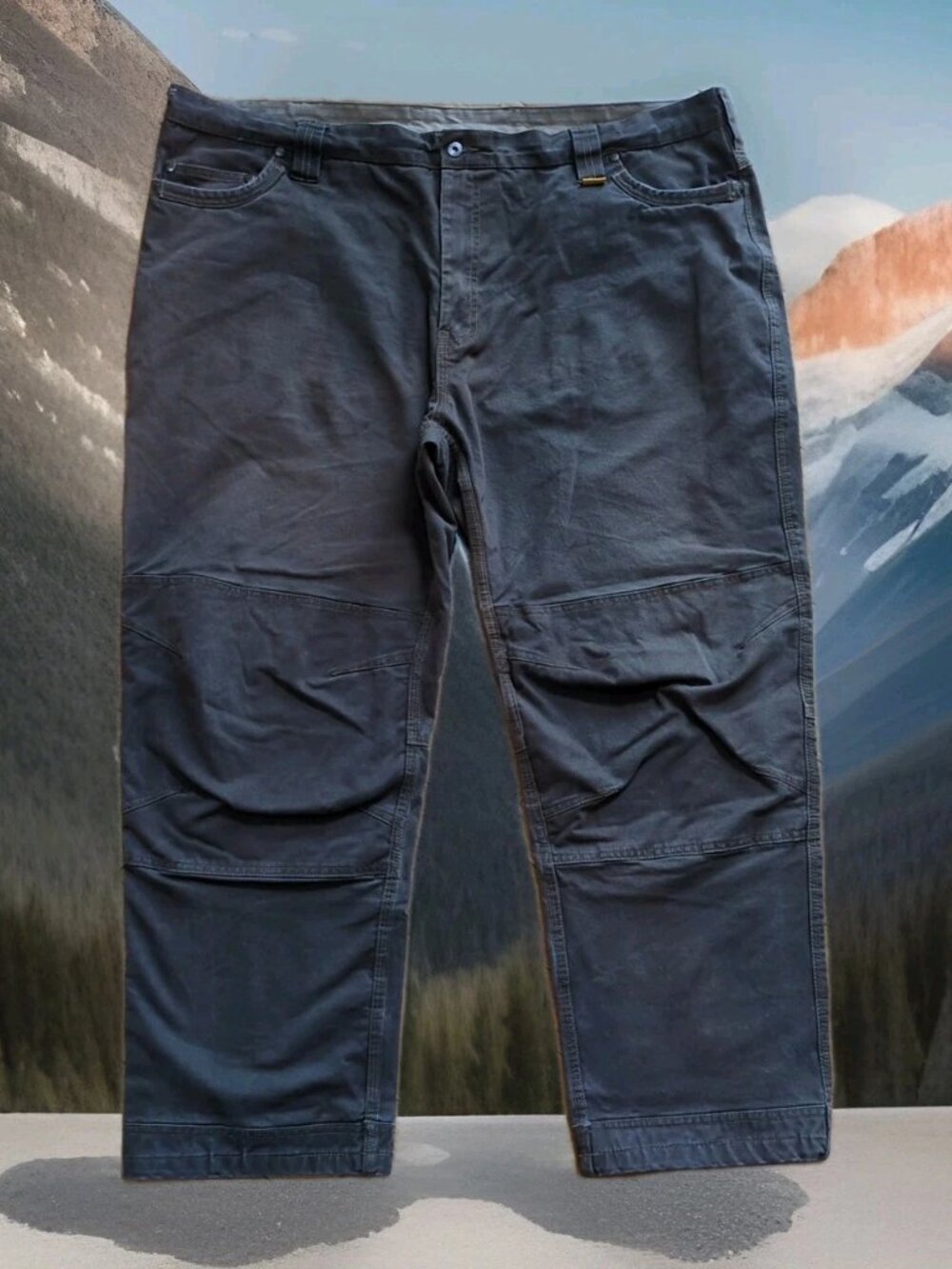 DeWalt Madison Pants 48x31 (Measured 46 x 29.5) Workwear Carpenter Utility Brown